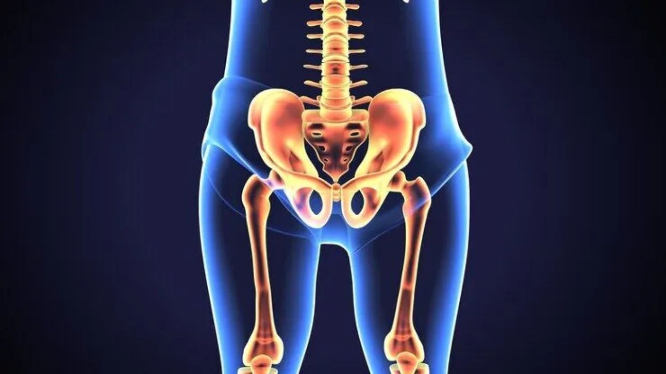 Doç. Dr. Sercan Çapkın | Ortopedi ve Travmatoloji Uzmanı